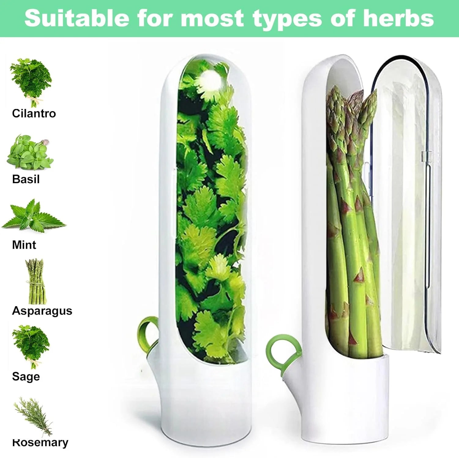 Fresh Herb Saver - Fine Living