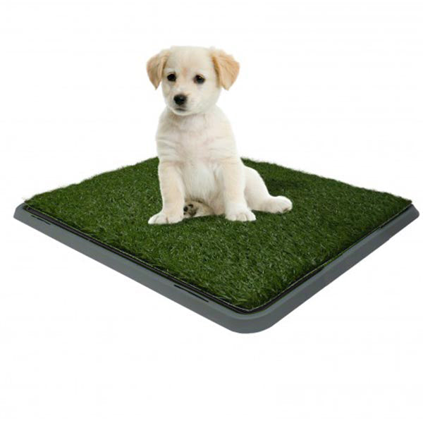 Rex Potty Petch-41*51cm