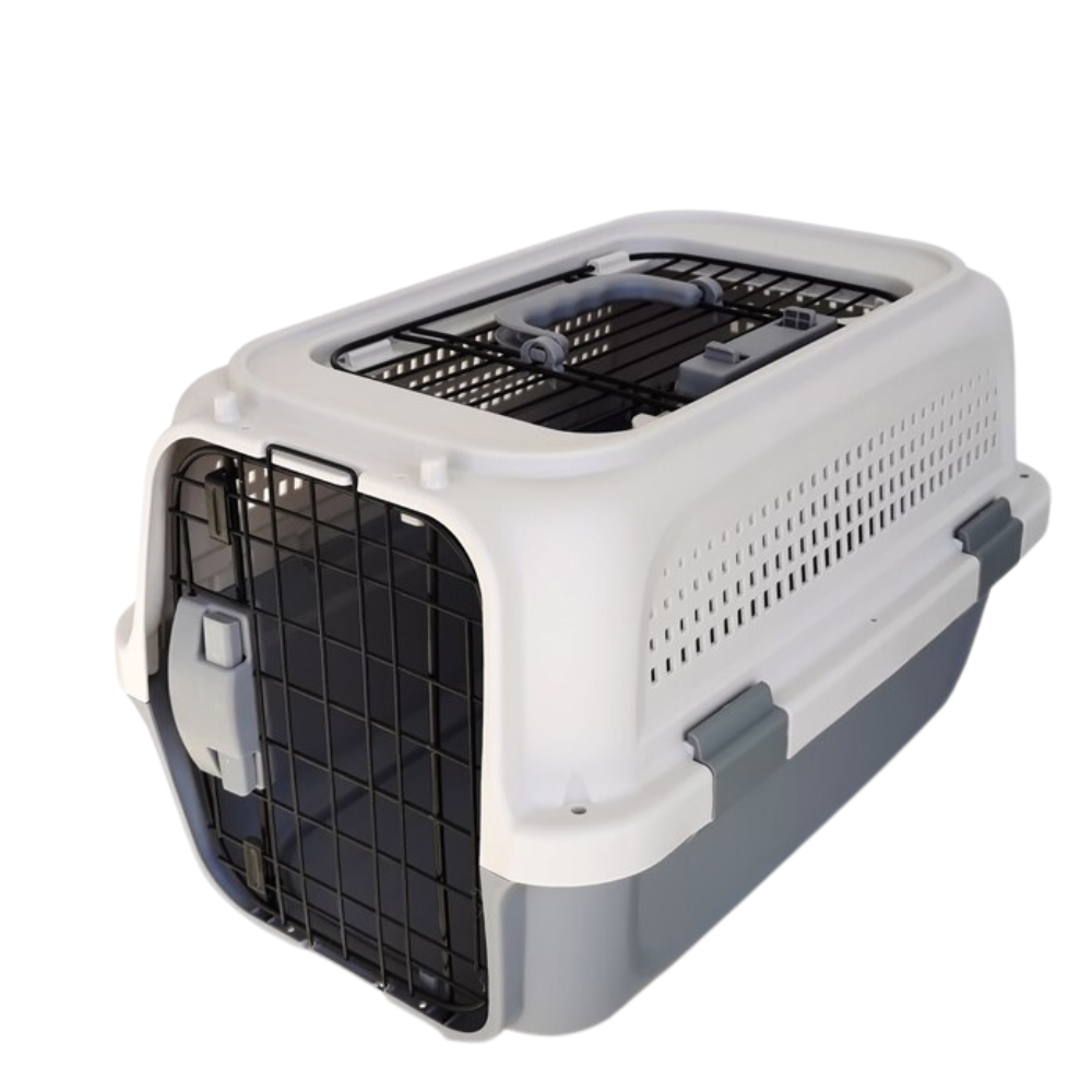 Bella Pet Carrier Box - Small - Rex