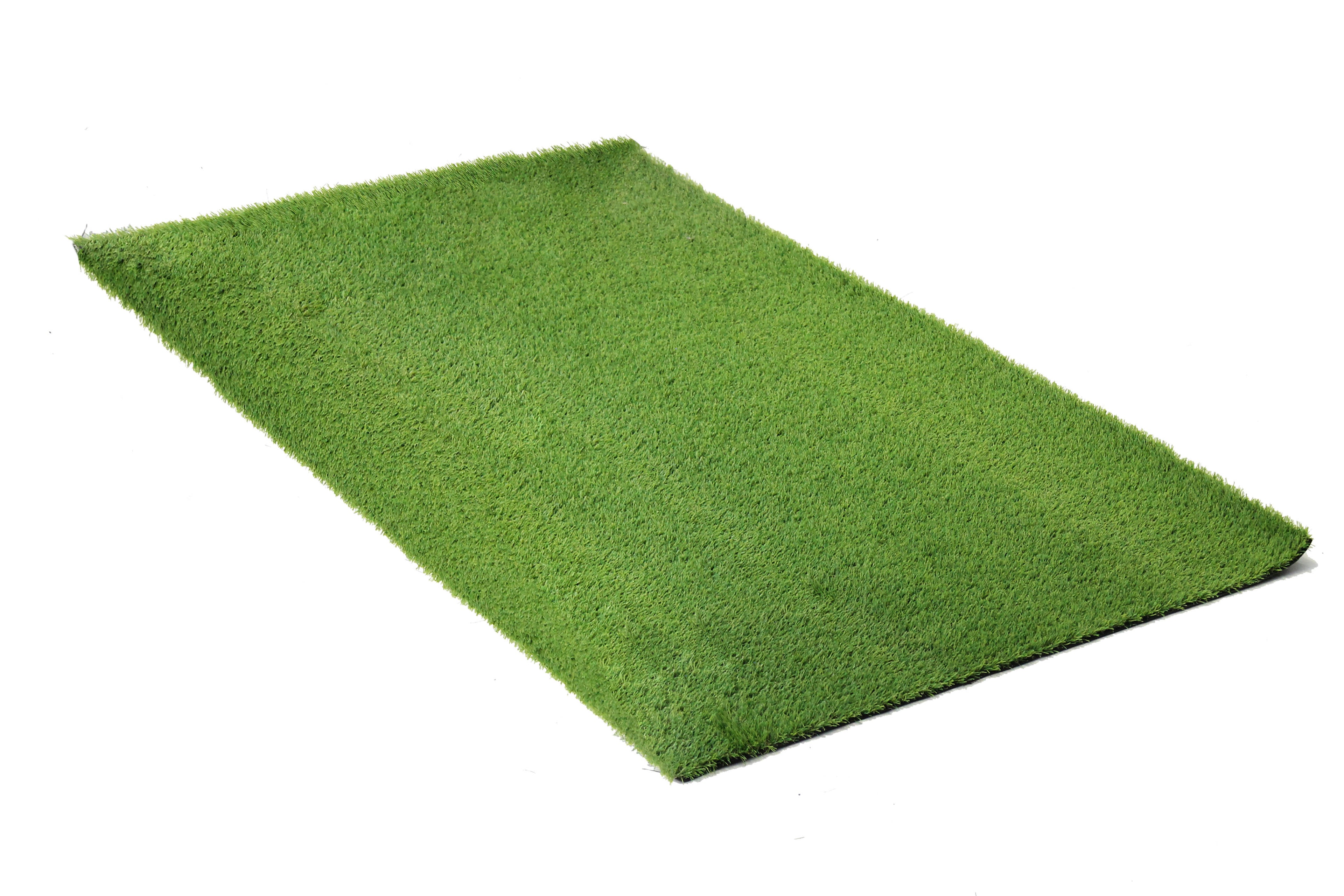 Mrs Pooch Puppy Training Grass 100cm x 200
