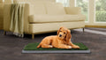 Rex Potty Petch-43*68cm