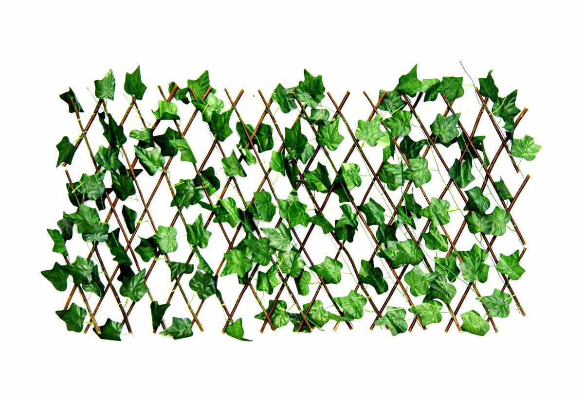 Patio Expandable Trellis - 1.2M